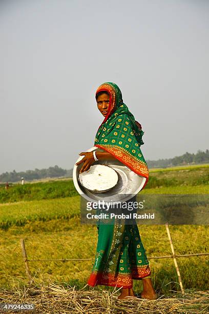 Woman from a rural family works in her paddy field.