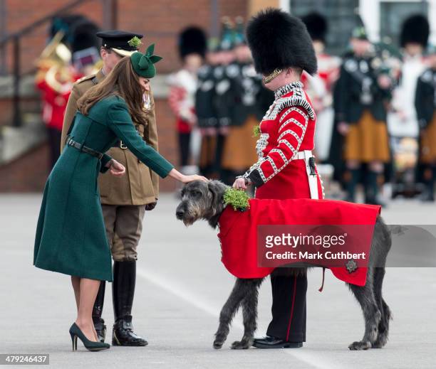 Catherine, Duchess of Cambridge presents a 'Shamrock' to Regimental Mascot Domhnall during the St Patrick's Day parade at Mons Barracks on March 17,...