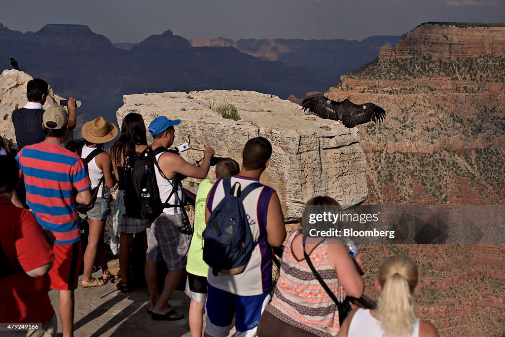 Views Of Grand Canyon National Park As Tourism Rises
