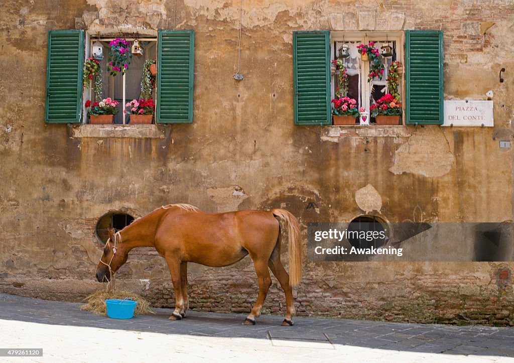 The Palio Di Siena Horse Race