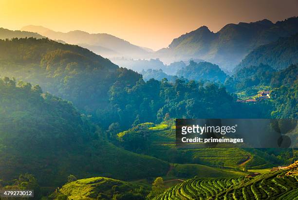 beautiful sunshine at misty morning mountains . - north stock pictures, royalty-free photos & images