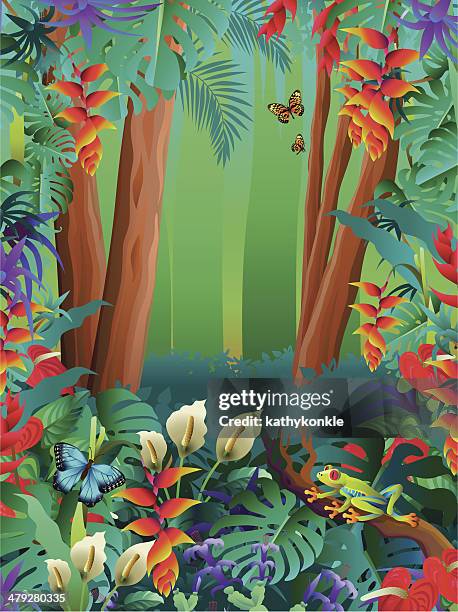 ilustraciones, imágenes clip art, dibujos animados e iconos de stock de rana tropicales y mariposas en la selva tropical - anturio