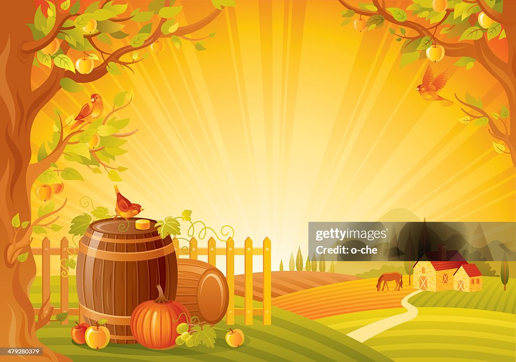 Autumn lanscape with barrels