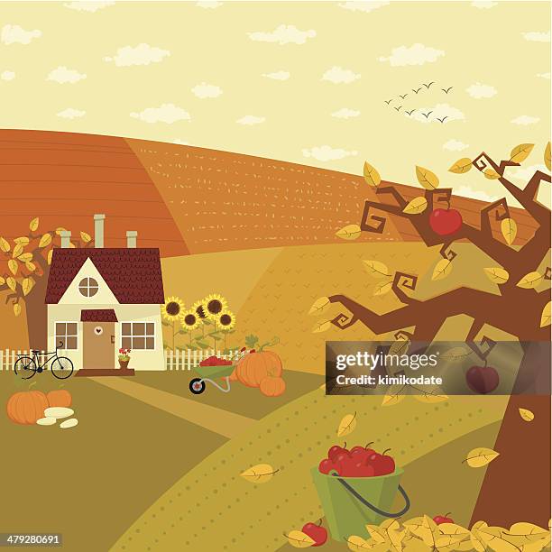autumn at farm - pumpkin field stock illustrations