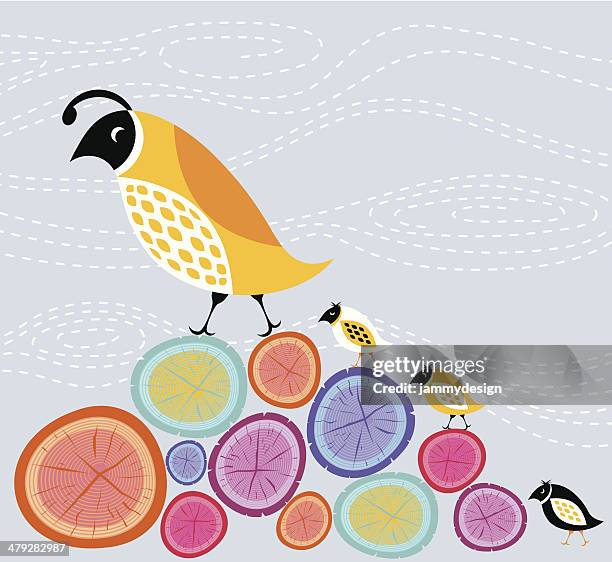 bildbanksillustrationer, clip art samt tecknat material och ikoner med mother quail and chicks - flock of birds stock illustrations