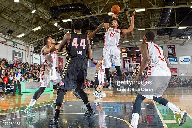 Sherwood Brown of the Maine Red Claws pulls in a defensive rebound against the Erie BayHawks on March 16, 2014 at the Portland Expo in Portland,...