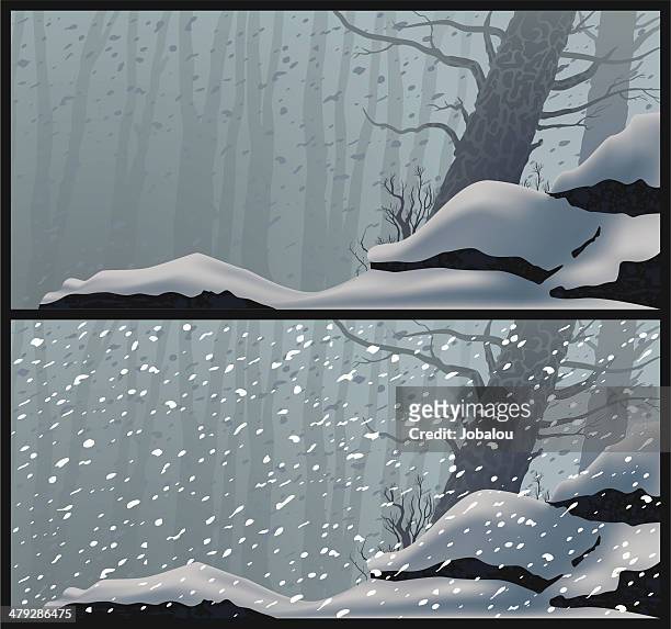 ilustraciones, imágenes clip art, dibujos animados e iconos de stock de ventisca - snow squall