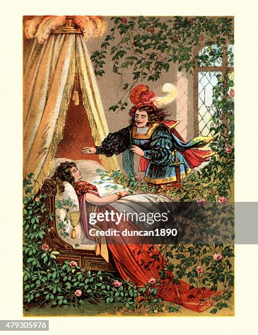 7点の童話 お姫様イラスト素材 Getty Images 7点の童話 お姫様イラスト素材 Getty Images