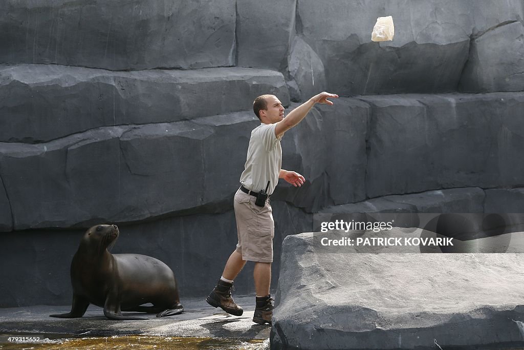 FRANCE-WEATHER-CLIMATE-ANIMAL-HEAT-WAVE