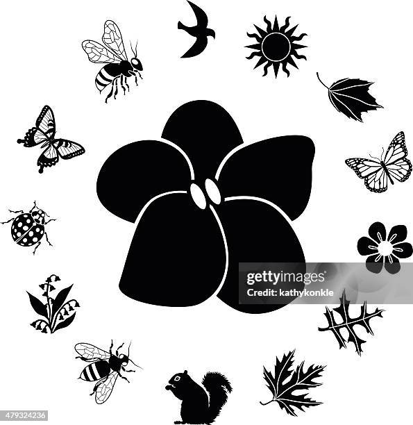 violet flower and ring border of woodland insects and plants - quercus palustris stock illustrations