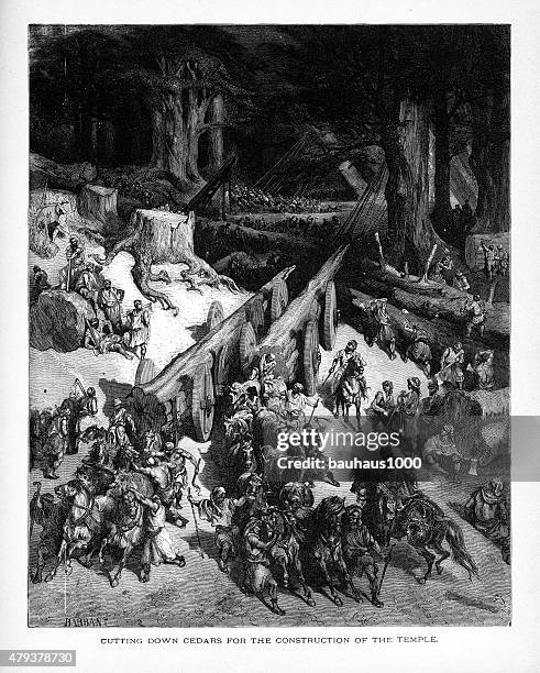 clearing cedars for king solomon’s temple biblical engraving - cedar tree forest stock illustrations