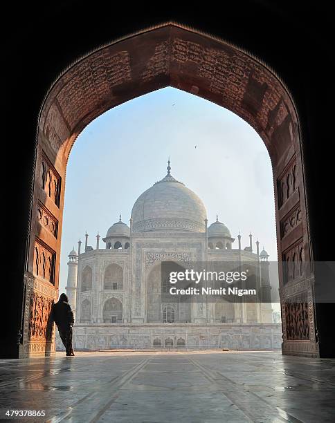 selfie @ taj... - taj mahal selfie stock pictures, royalty-free photos & images