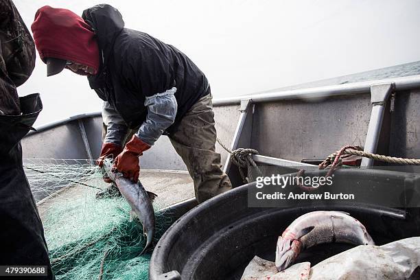 Joseph John Jr. And his son Jeremiah John haul in nets while salmon fishing on July 1, 2015 in Newtok, Alaska. Newtok has a population of...