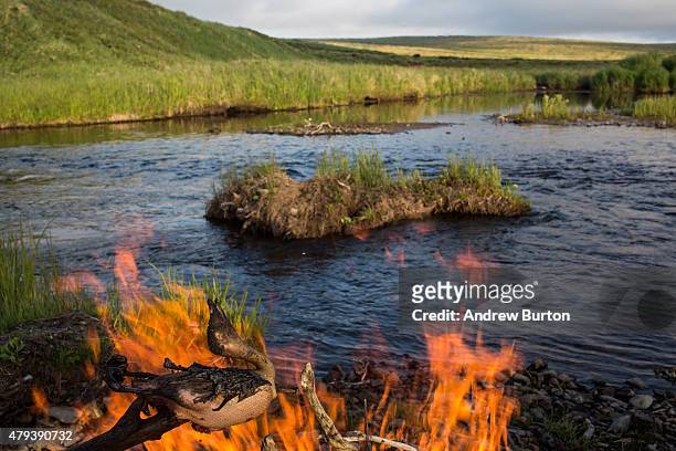 Eddie Lopez and Robert Page cook duck over a fire during a hunting trip on Nelson Island on July 2, 2015 near Newtok, Alaska. Newtok has a population...