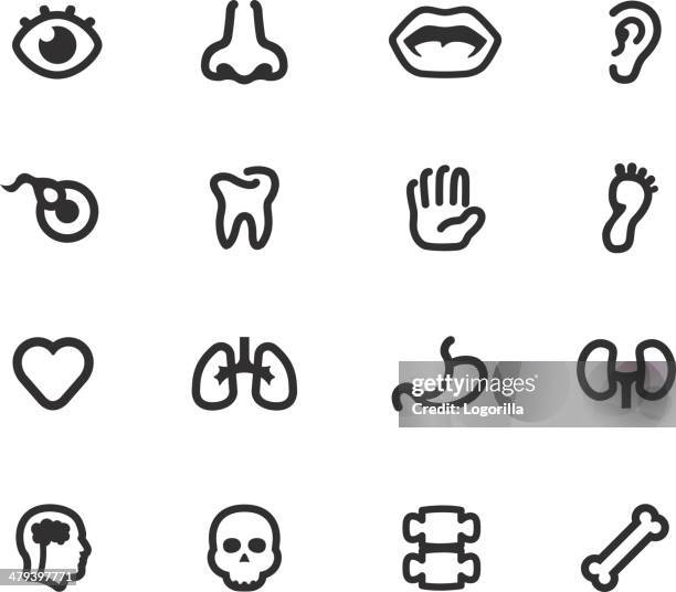 body parts - sinneswahrnehmung stock-grafiken, -clipart, -cartoons und -symbole