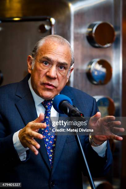 Jose Angel Gurria, secretary-general of the Organization for Economic Cooperation and Development , attends press conference during his visit on...