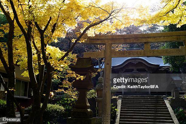 shrine in autumn - okinoshima stock pictures, royalty-free photos & images