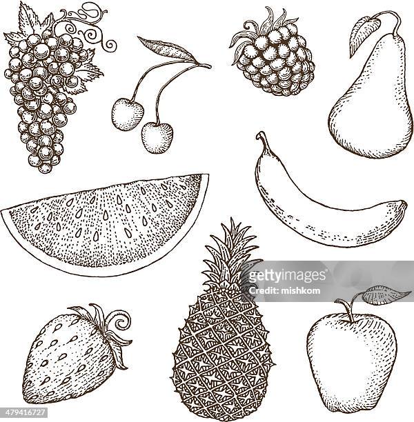 ilustraciones, imágenes clip art, dibujos animados e iconos de stock de dibujos de frutas - frambuesas