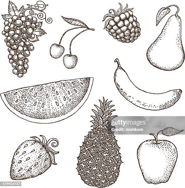 ilustrações, clipart, desenhos animados e ícones de desenhos de frutas - melancia