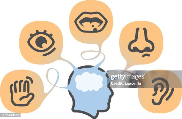 stockillustraties, clipart, cartoons en iconen met the five senses - sensory perception