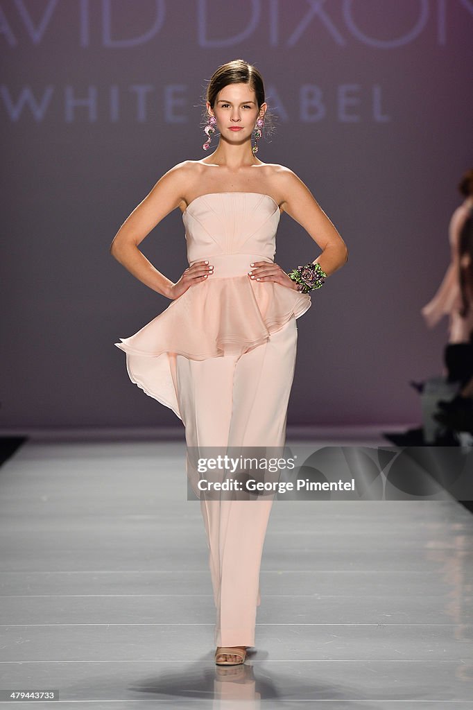 World MasterCard Fashion Week Fall 2014 Collections - David Dixon