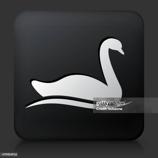 black square button with swan - swan stock illustrations