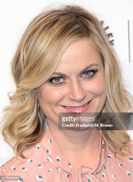 Actress Amy Poehler attends The Paley Center for Media's PaleyFest 2014 Honoring "Parks and Recreation" at the Dolby Theatre on March 18, 2014 in...