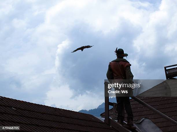 falknerei-demonstration - hohenwerfen castle stock-fotos und bilder