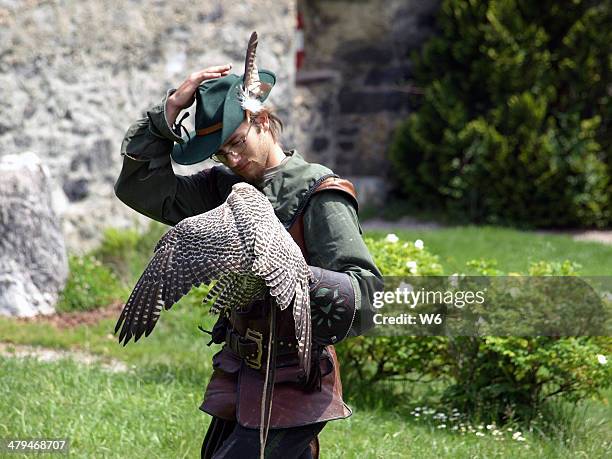 falknerei-demonstration - hohenwerfen castle stock-fotos und bilder