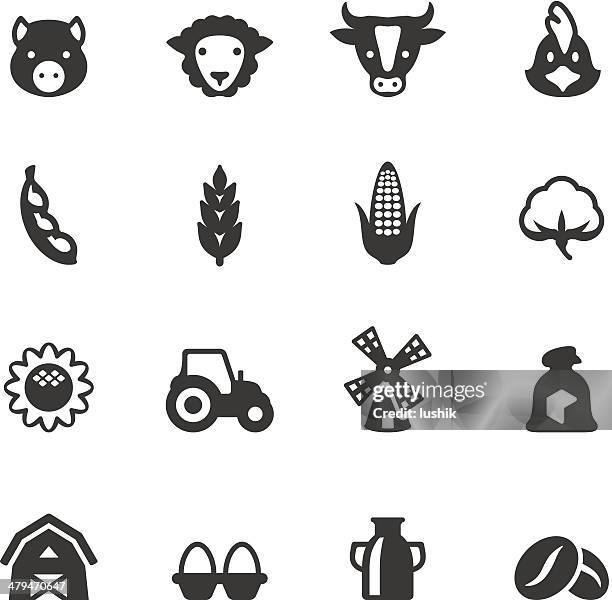 soulico - agriculture - cotton plant white background stock illustrations