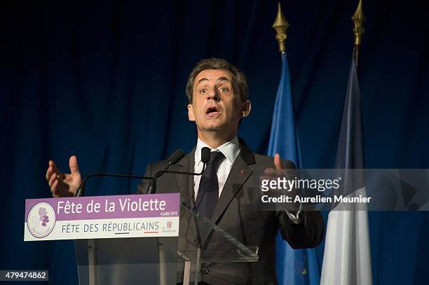 Former French President Nicolas Sarkozy addresses thousands of political supporters during a speech at La Fete de la Violette on July 4, 2015 in La...