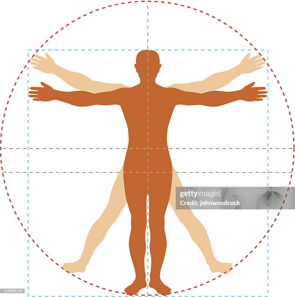 Vitruvian man