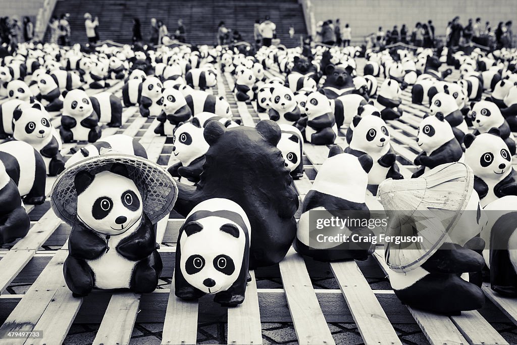 Pandas on Tour Exhibition in Taiwan