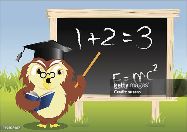 teaching owl - learning objectives text stock illustrations