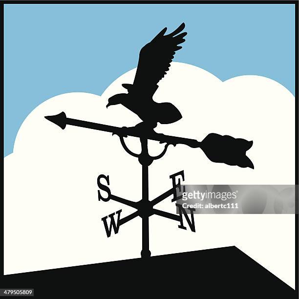 ilustraciones, imágenes clip art, dibujos animados e iconos de stock de eagle veleta - ave de rapiña