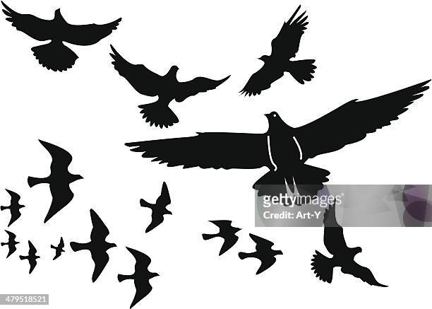 illustrazioni stock, clip art, cartoni animati e icone di tendenza di silhouette vettoriali di uccelli - birds flying