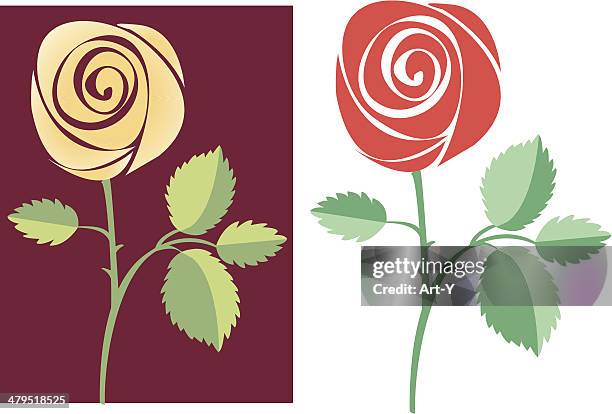 2 Roses Crossing Two Red Roses Photos and Premium High Res Pictures - Getty Images