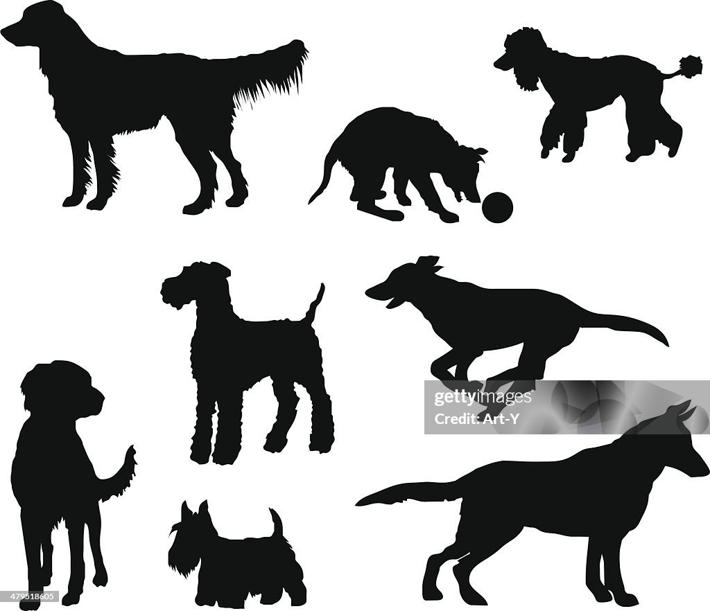 My dogs (vector & jpg)