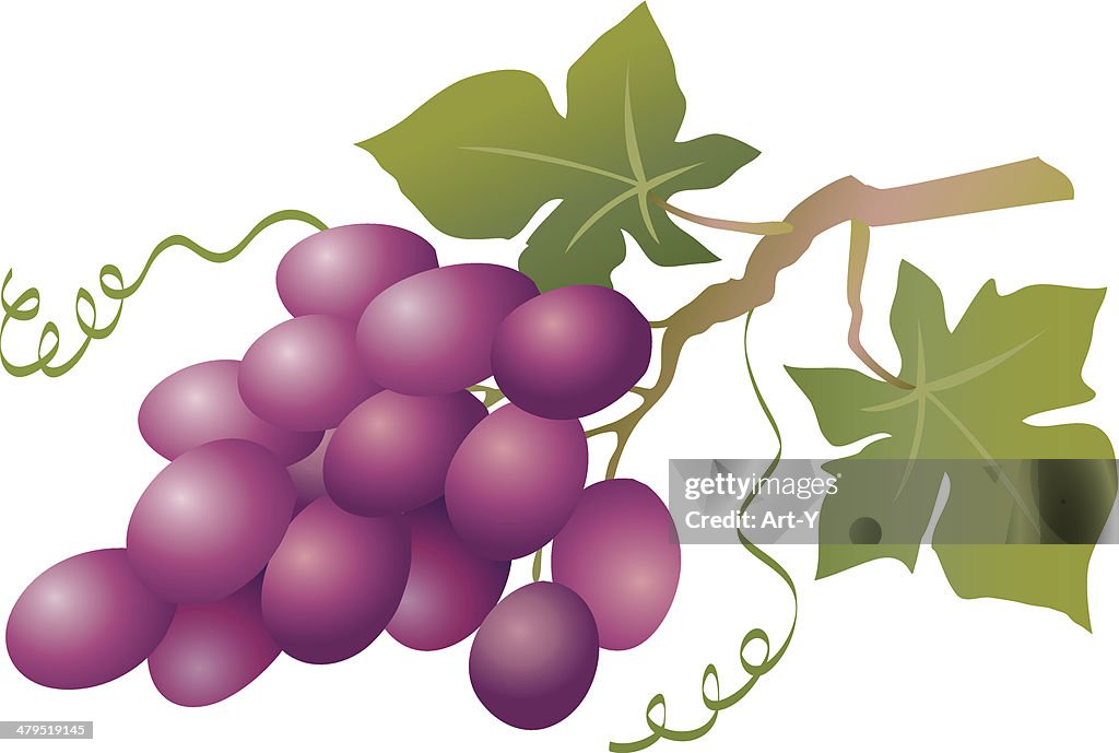 Blue grapes