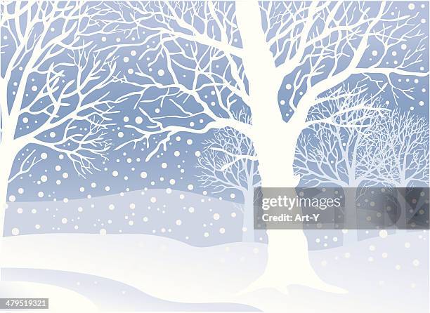 peaceful winters day - beech tree stock illustrations