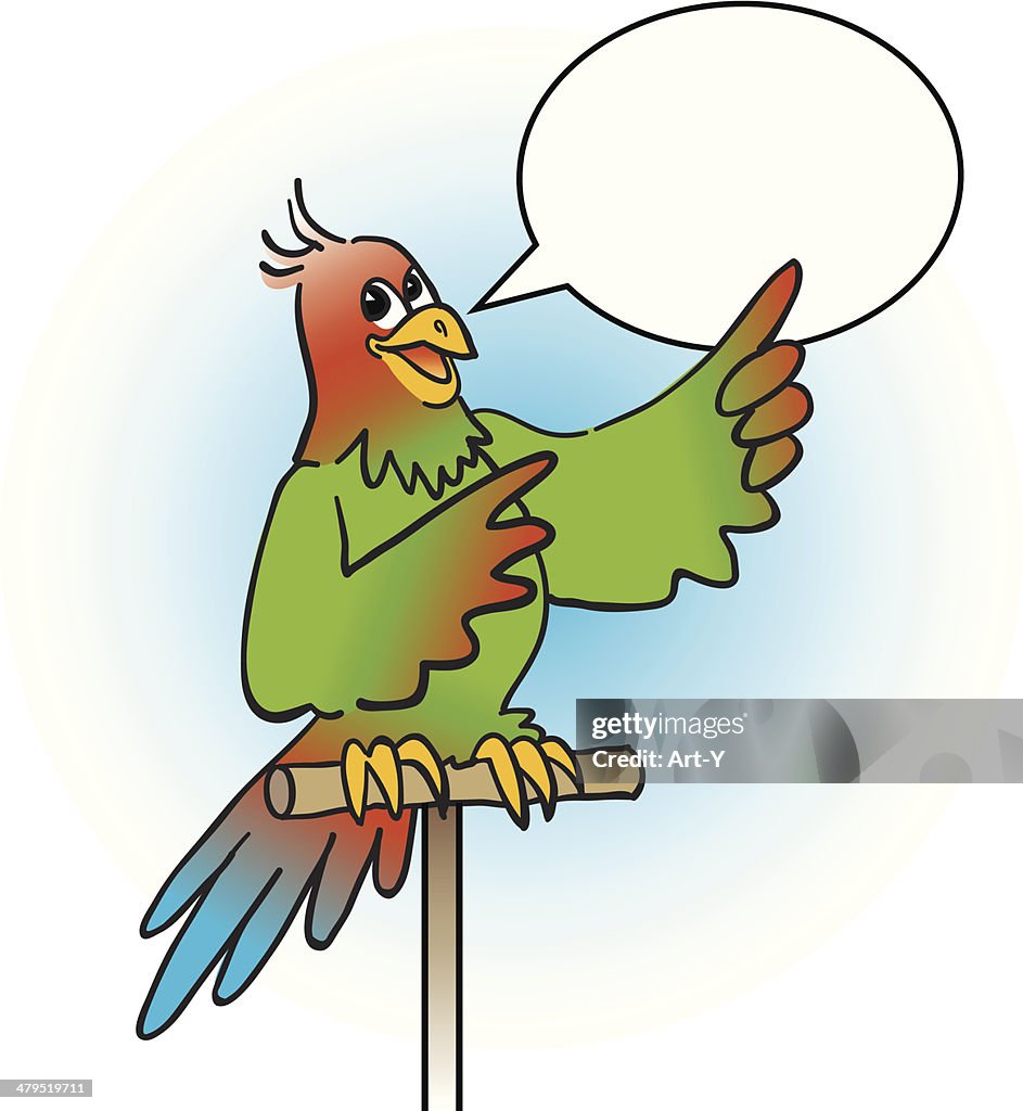 Talking Parrot High-Res Vector Graphic - Getty Images