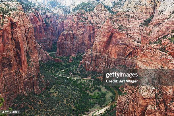 towering cliffs of zion national park - utah - zion national park stock pictures, royalty-free photos & images