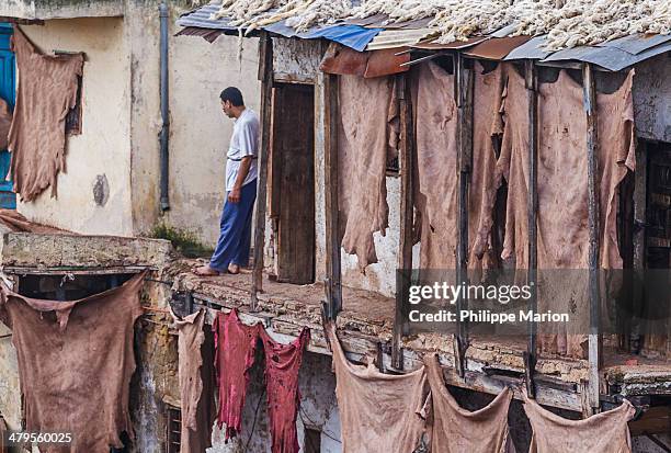 Tanner rests among recently tanned hides hung to dry