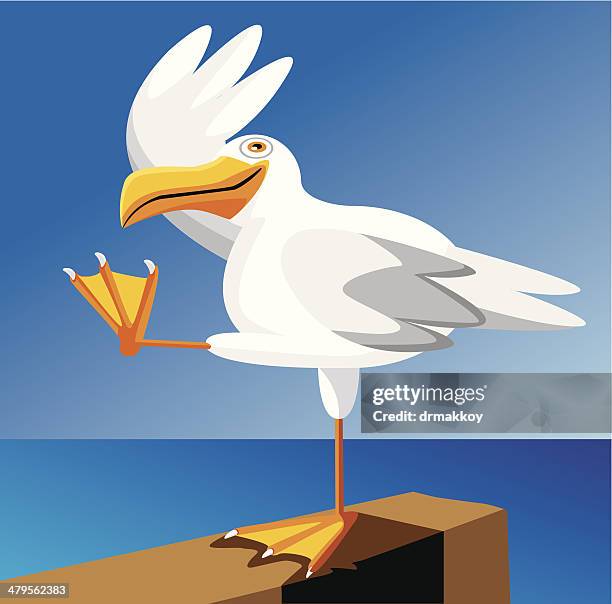 427 Cartoon Seagull Photos and Premium High Res Pictures - Getty Images 427 Cartoon Seagull Photos and Premium High Res Pictures - Getty Images