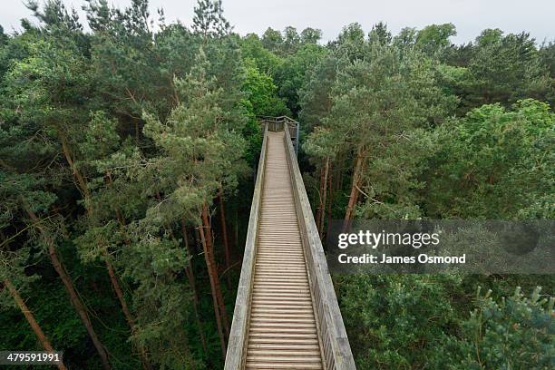 elevated boardwalk - northants stock pictures, royalty-free photos & images
