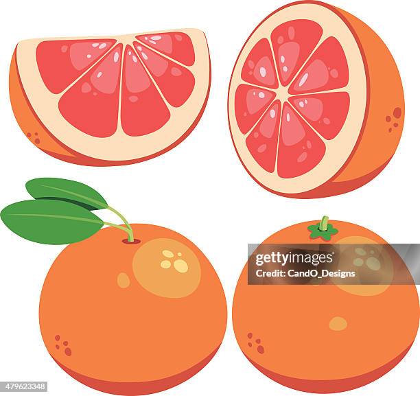 ilustraciones, imágenes clip art, dibujos animados e iconos de stock de historieta de toronja - pomelo