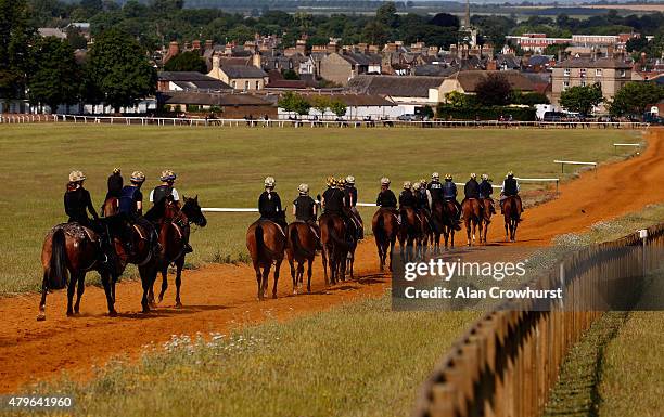 General view as a string of horses makes its way to the bottom of Warren Hill gallop in Newmarket on July 06, 2015 in Newmarket, England.