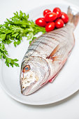 Fresh raw striped sea bream murmurs with parsley and tomatoes