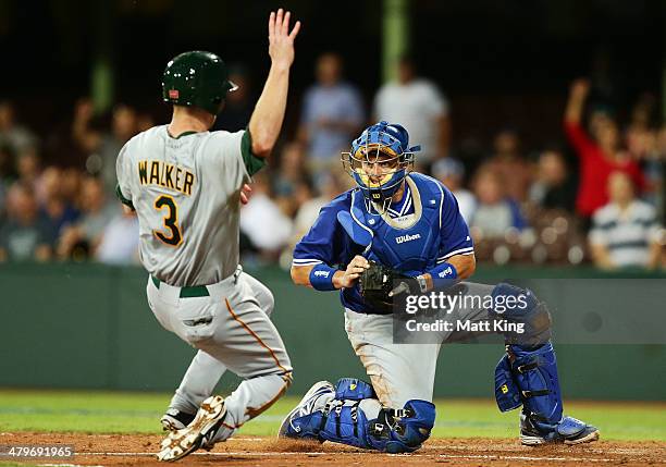 Dodgers catcher A. J. Ellis makes the play to prevent Mike Walker of Australia from scoring during the match between Team Australia and the LA...