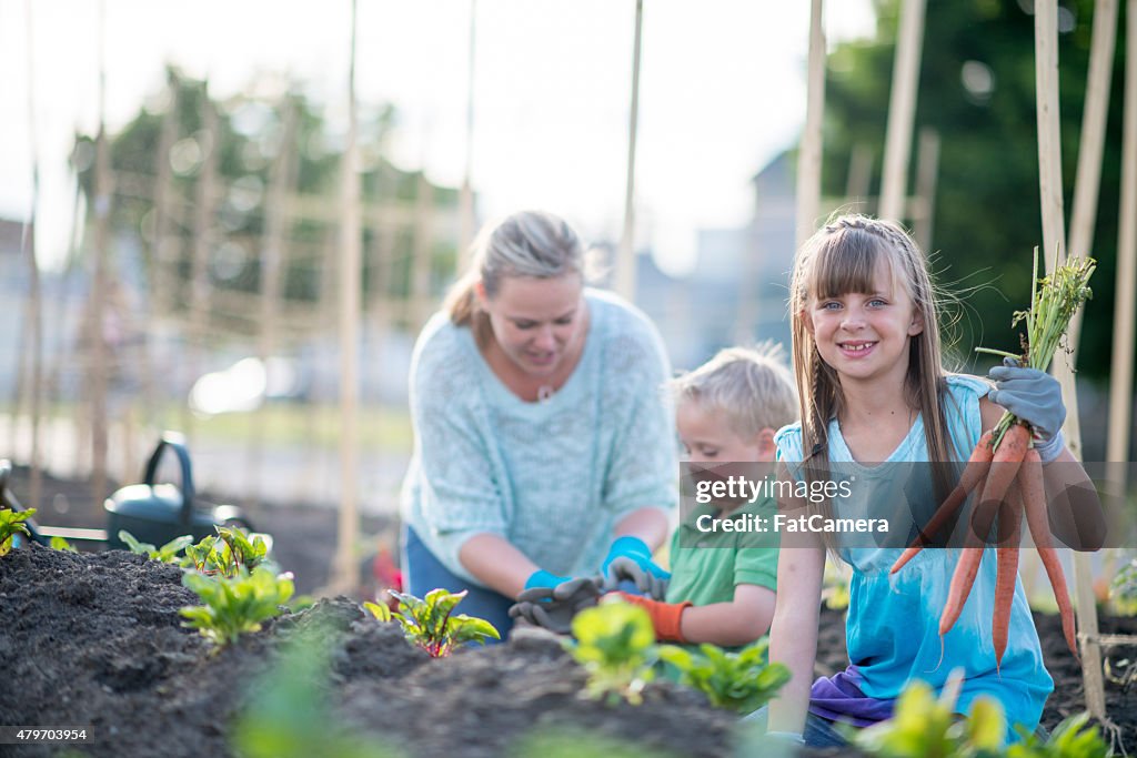 Learing to Garden